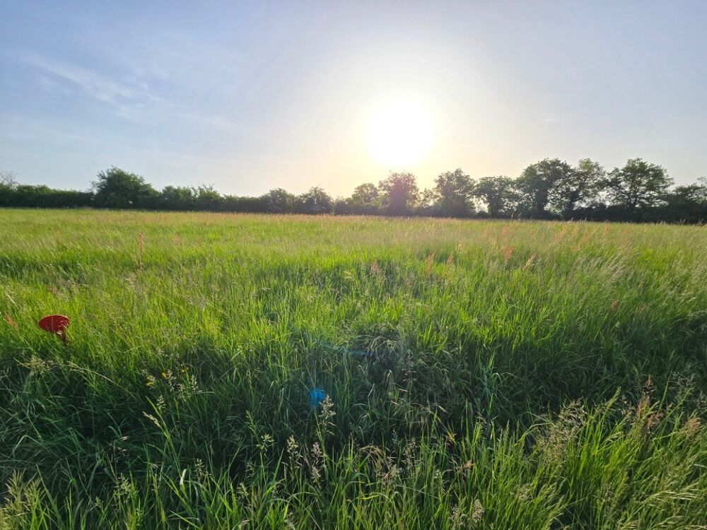 vente Terrain - 1872 m² Lalandusse (47330)