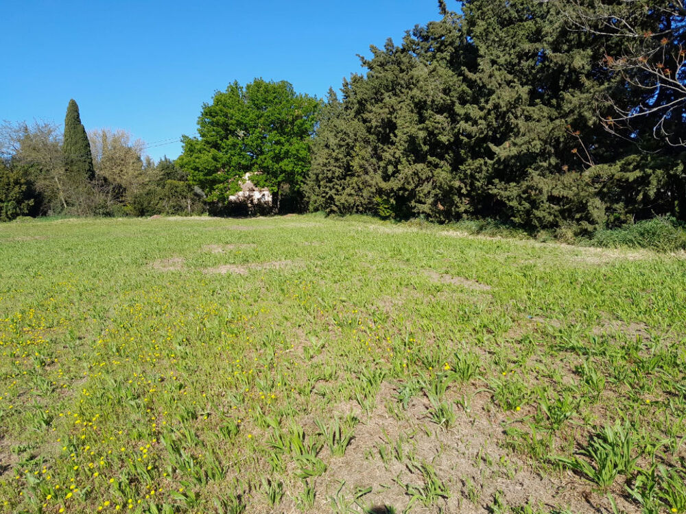 vente Maison - 5 pièce(s) - 100 m² Aubignan (84810)