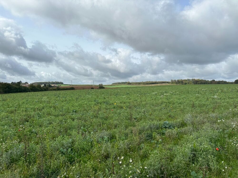 vente Terrain - 400 m² Luttange (57935)