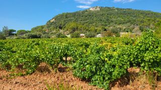  Terrain  vendre 450 m