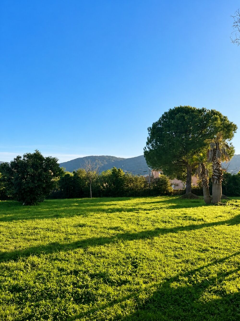 vente Terrain - 960 m² La Crau (83260)