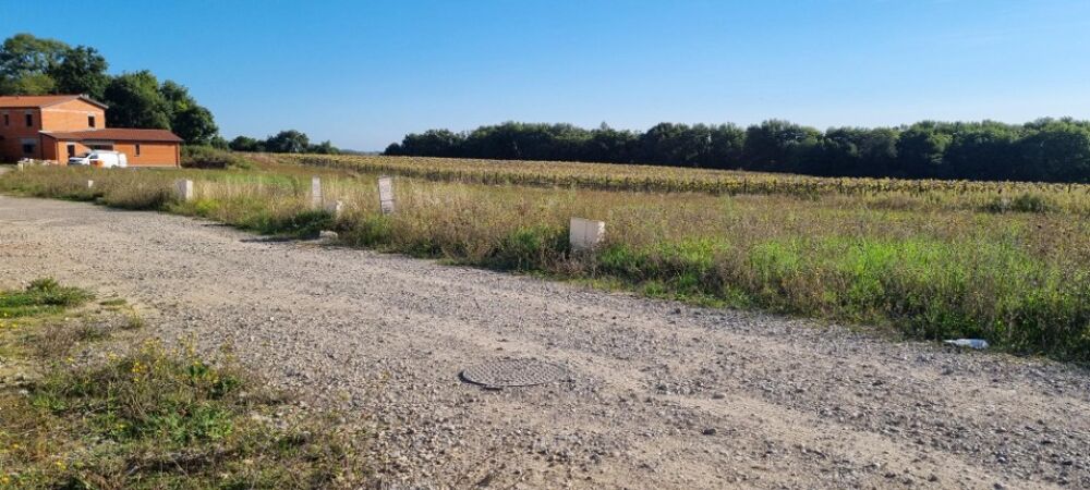 vente Terrain - 378 m² Montanay (69250)