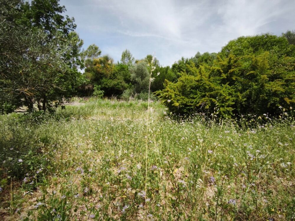 vente Terrain - 1017 m² Belgentier (83210)