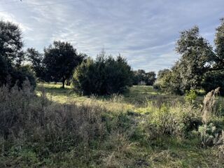 Terrain  vendre 305 m