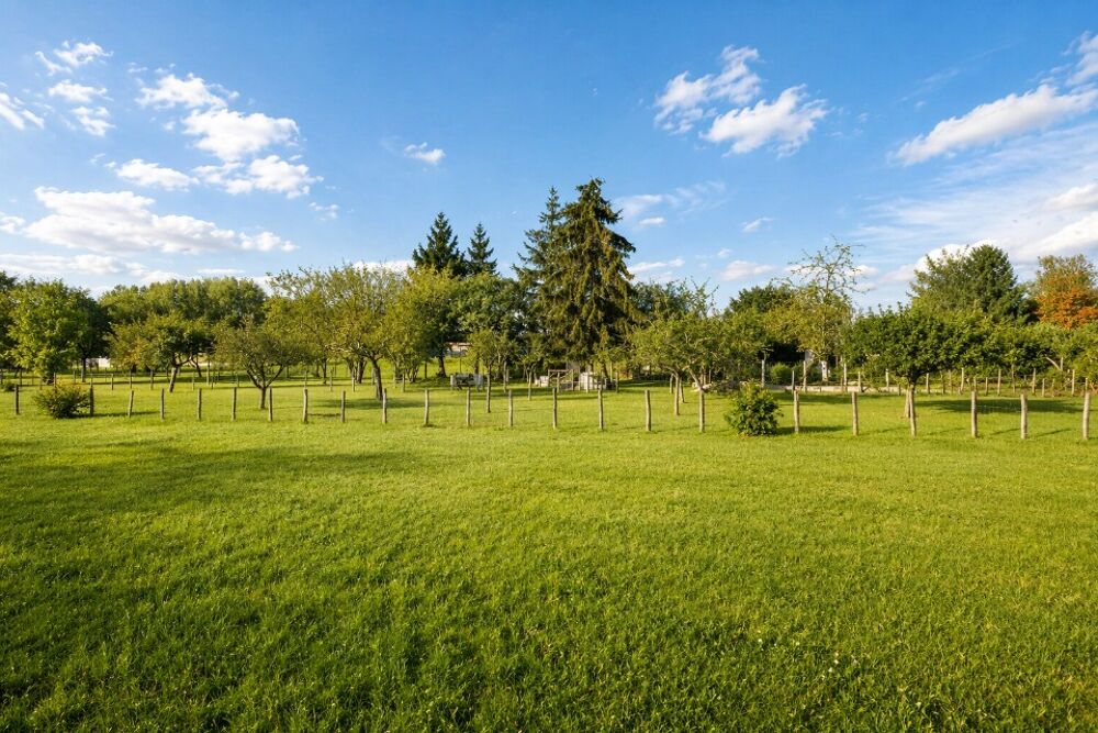vente Terrain - 344 m² Amboise (37400)
