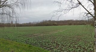  Terrain  vendre 597 m