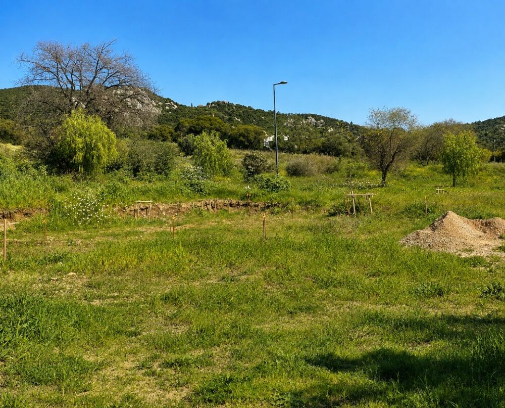 vente Terrain - 478 m² Hyères (83400)