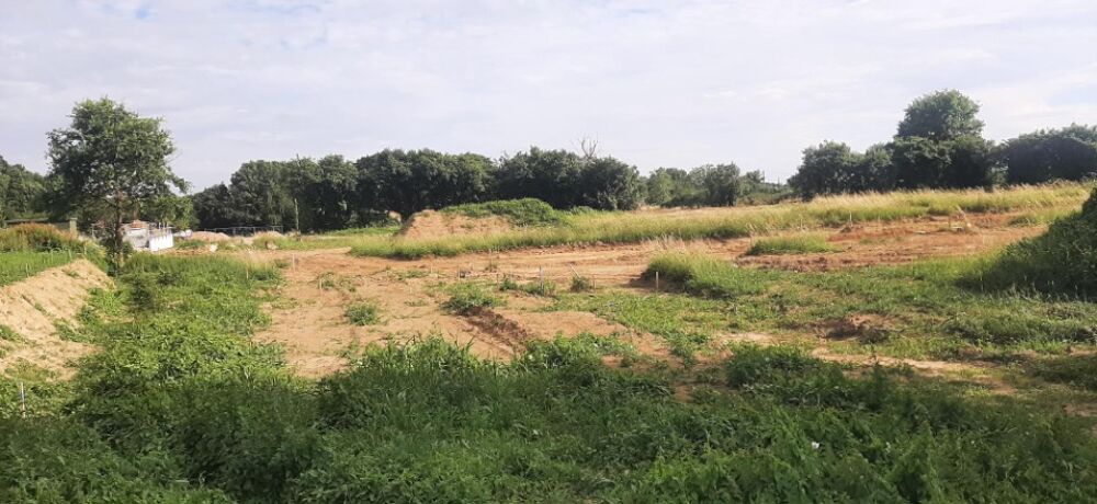 vente Terrain - 711 m² Sargé-lès-le-Mans (72190)