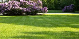  Maison 5 pi�ces 84 m� Fabas