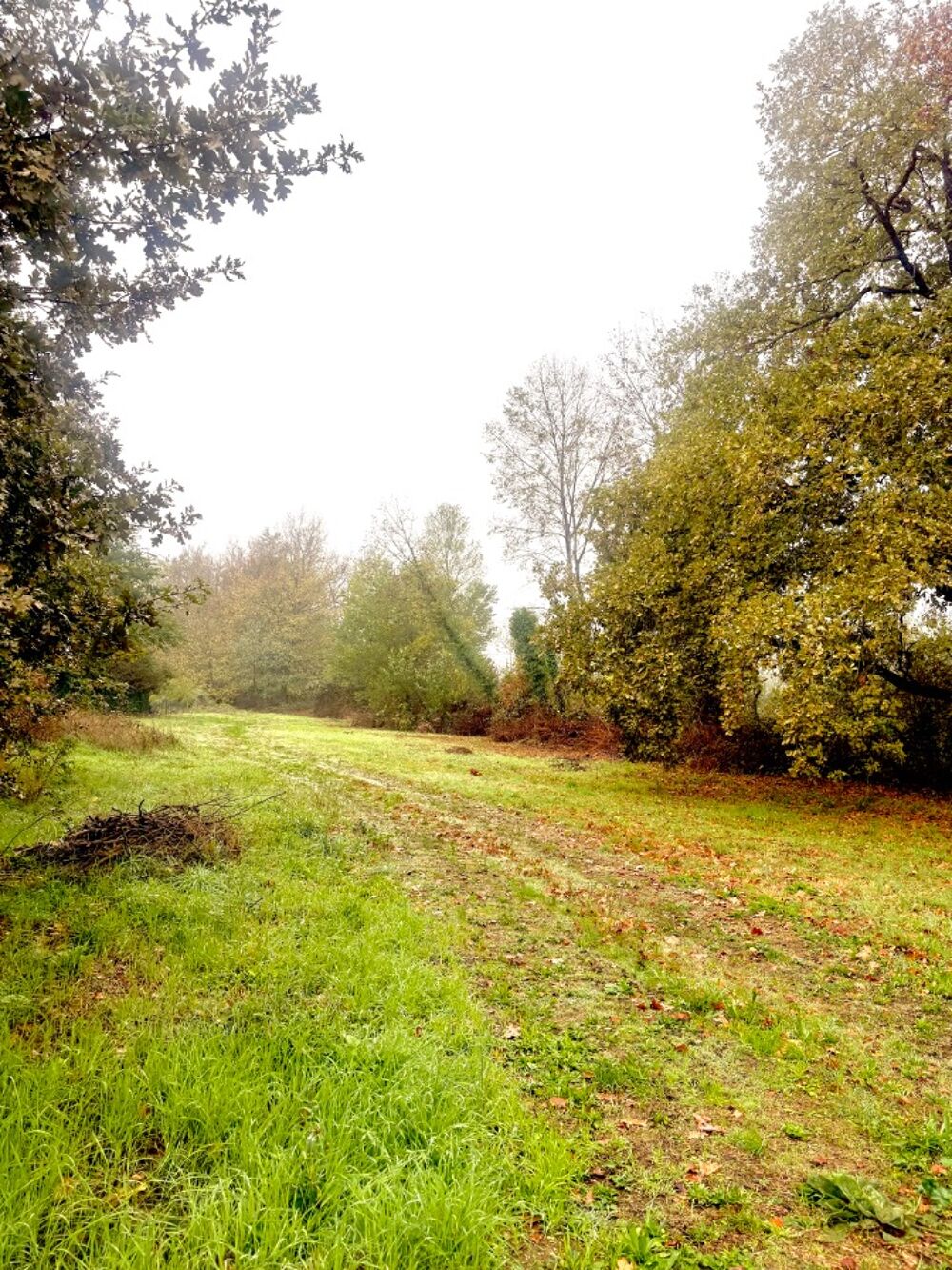 vente Terrain - 900 m² Sablons (33910)