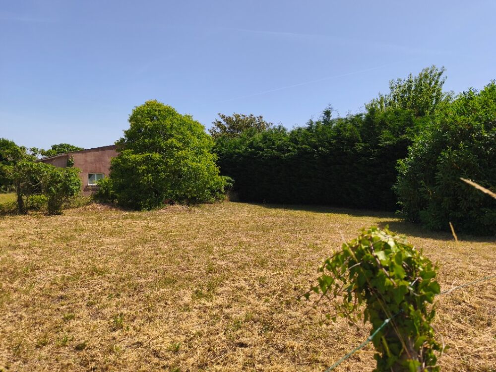 vente Terrain - 1099 m² Saint-Sornin (17600)