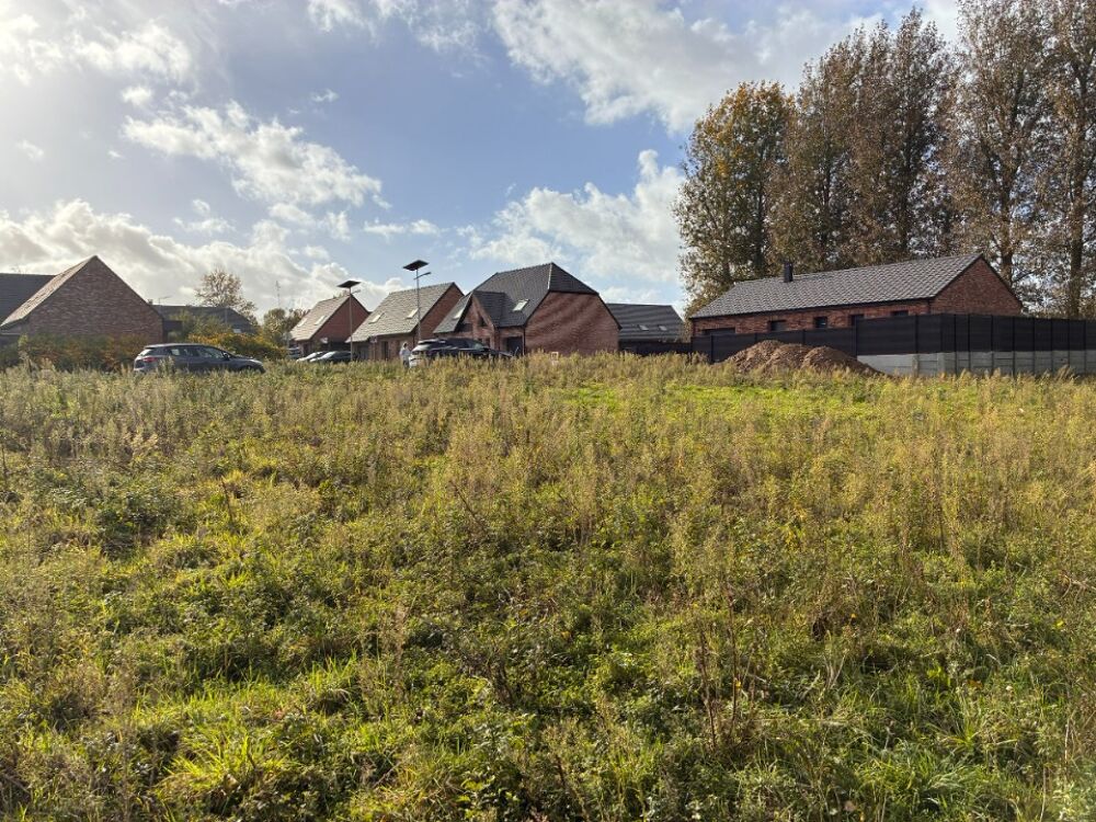 vente Terrain - 552 m² Curgies (59990)