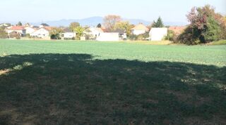  Maison 4 pices 89 m Morschwiller-le-bas