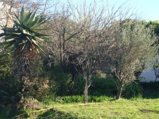  Terrain � vendre 550 m�