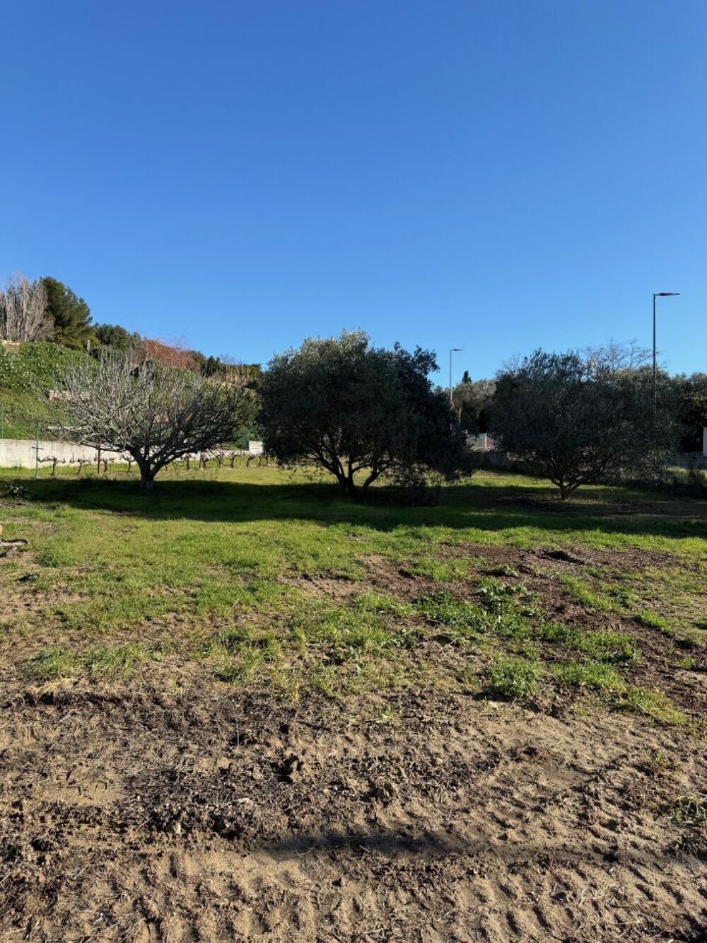 Istres : maison de 4 pièces (98 m²) en vente Emplace....