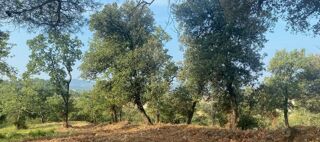  Terrain � vendre 519 m�