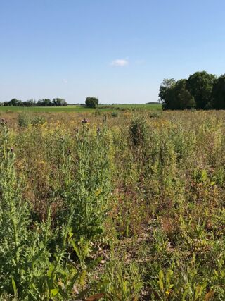  Maison � vendre 5 pi�ces 83 m�