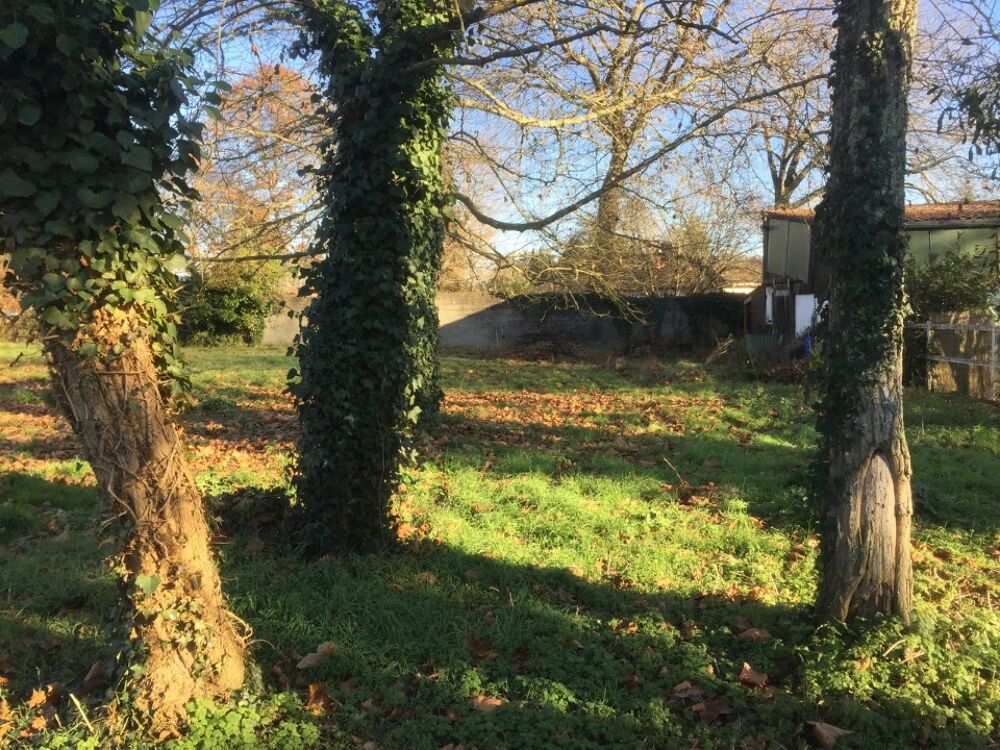 vente Terrain - 1600 m² La Brède (33650)
