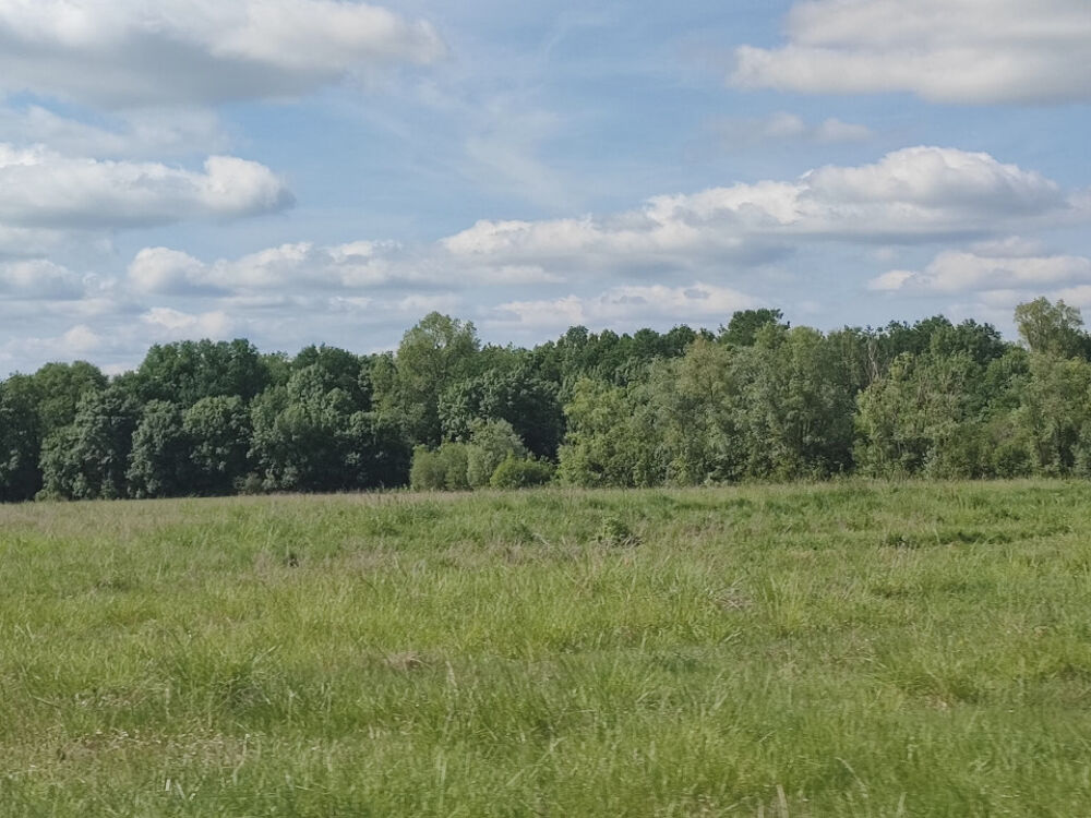 vente Maison - 4 pièce(s) - 90 m² Le Pout (33670)