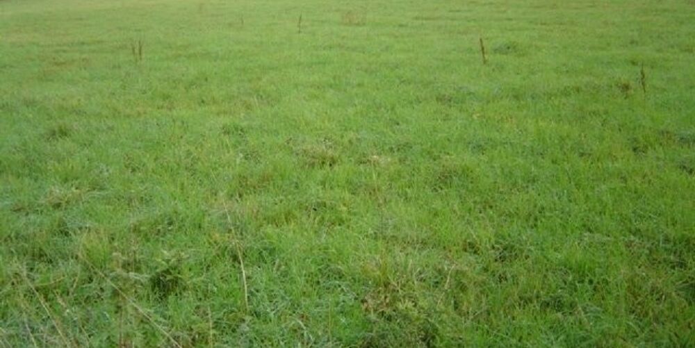vente Maison - 8 pièce(s) - 145 m² Sarceaux (61200)