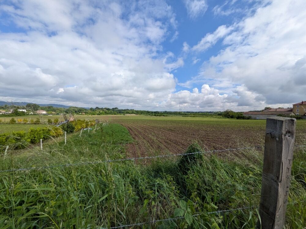vente Terrain - 520 m² Marcilly-d'Azergues (69380)