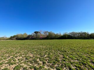  Maison 4 pièces 80 m² Labastide-d'anjou