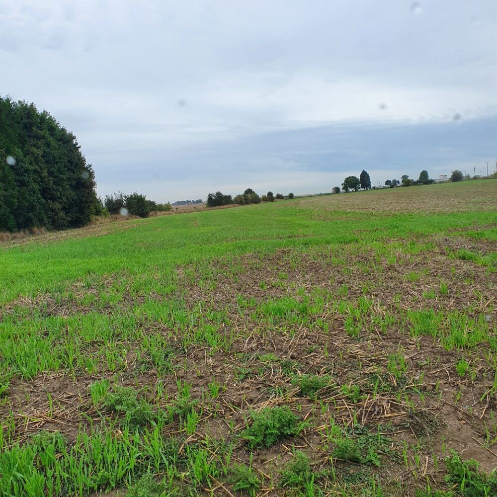 vente Terrain - 509 m² Écurie (62223)