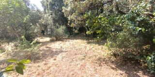  Terrain à vendre 1000 m²