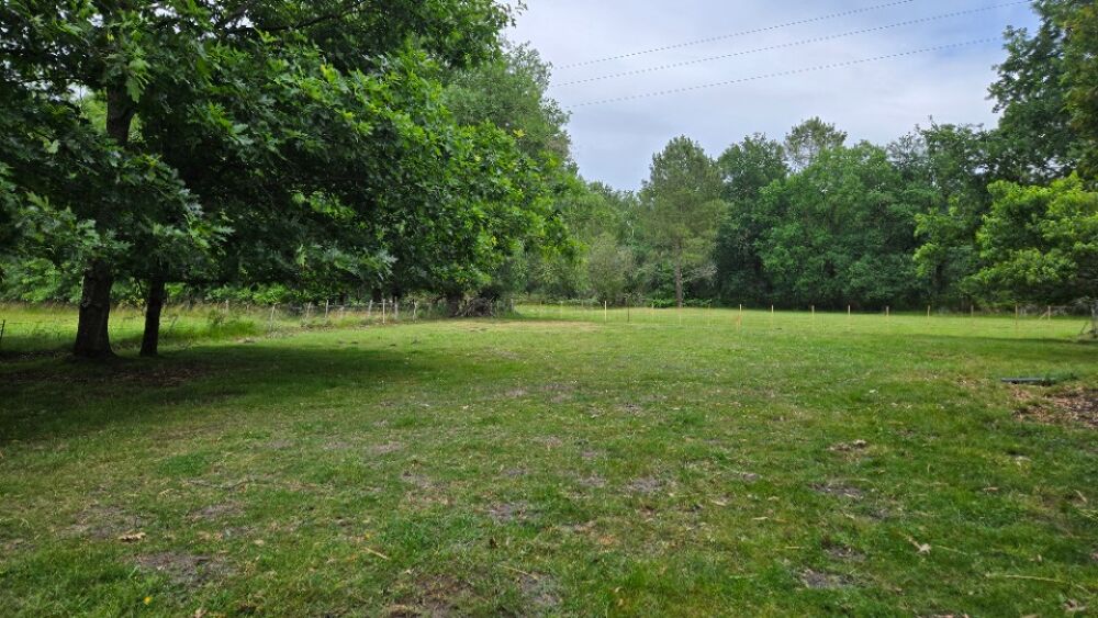 vente Maison - 3 pièce(s) - 85 m² Saint-Savin (33920)