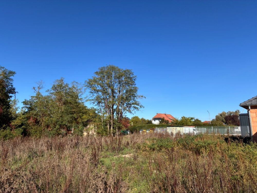 vente Maison - 5 pièce(s) - 109 m² Algolsheim (68600)