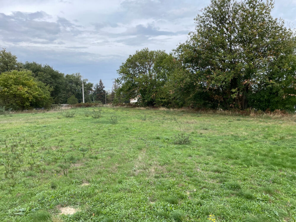 vente Terrain - 982 m² Labruguière (81290)