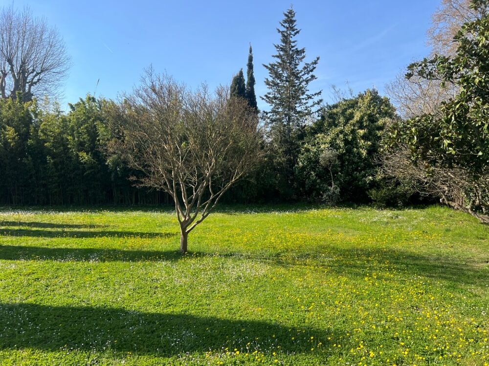 vente Maison - 4 pièce(s) - 98 m² Fontvieille (13990)