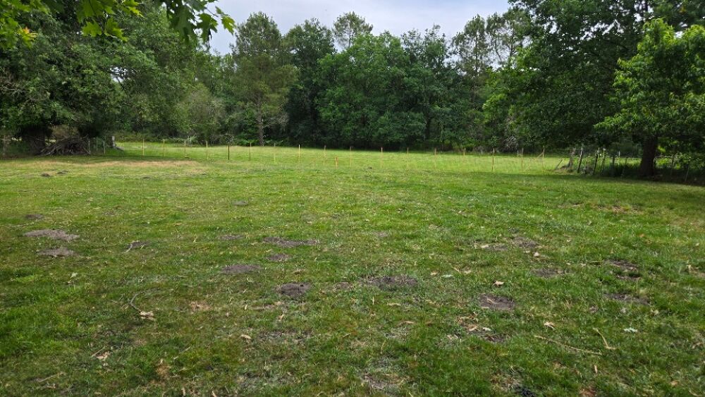 vente Terrain - 1500 m² Saint-Savin (33920)