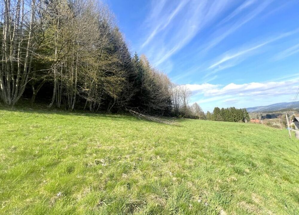 vente Maison - 5 pièce(s) - 118 m² Saulxures (67420)