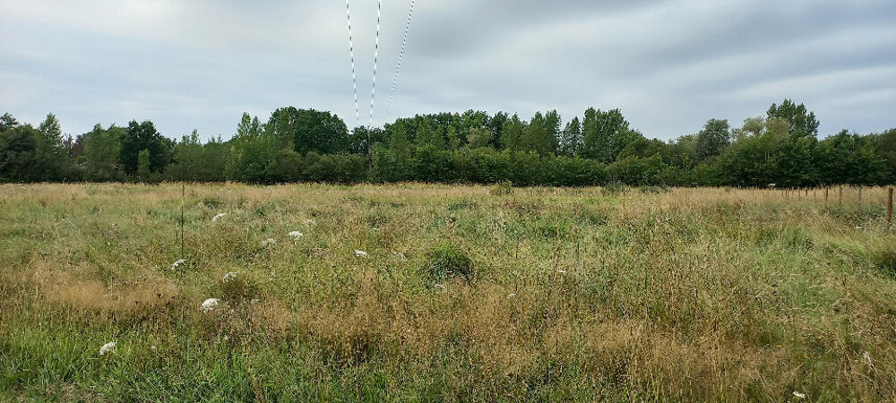 vente Terrain - 2276 m² Ménesplet (24700)