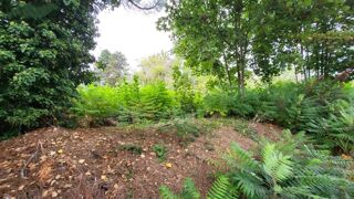  Terrain � vendre 725 m�