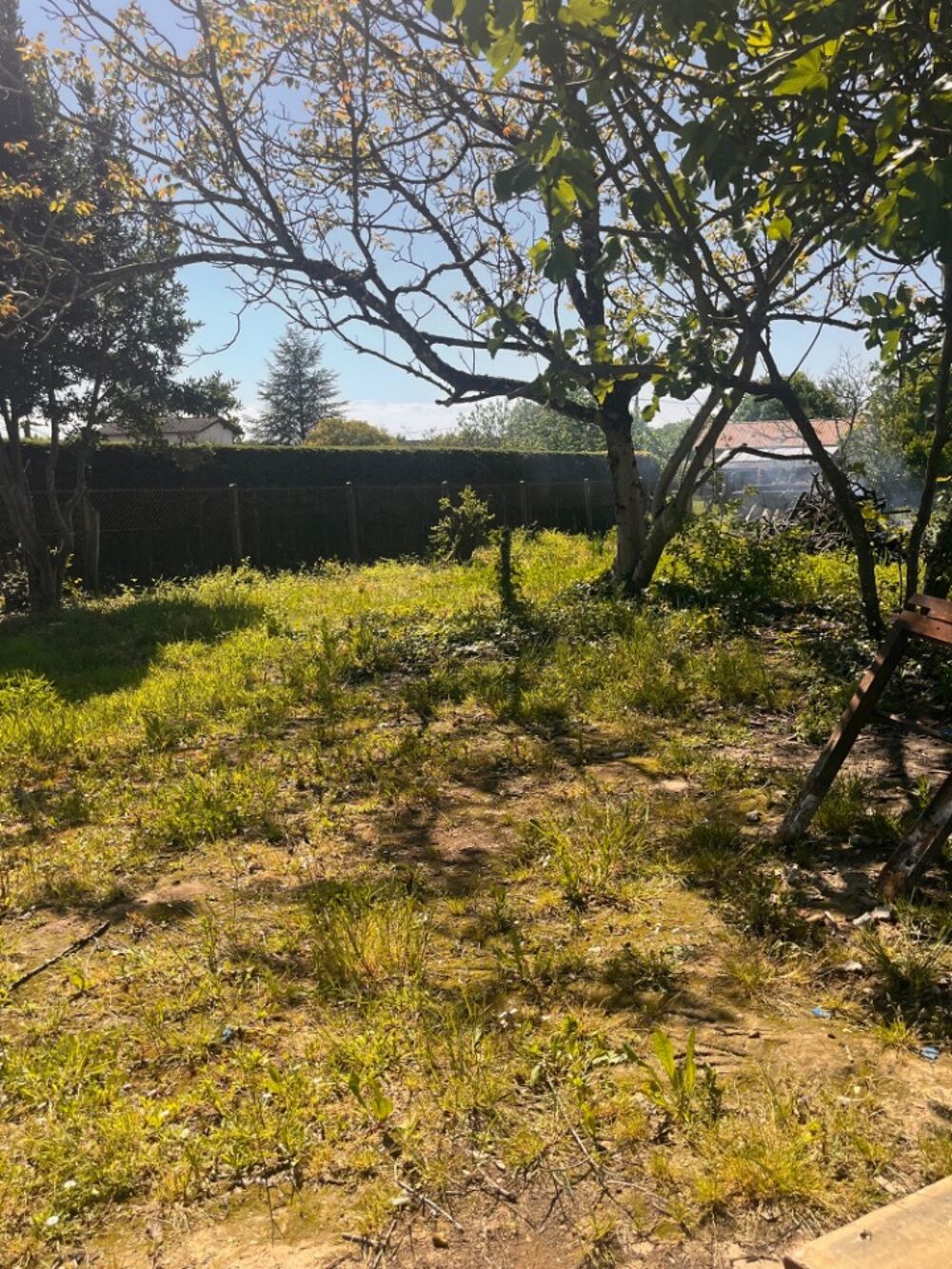 vente Terrain - 900 m² La Sauve (33670)