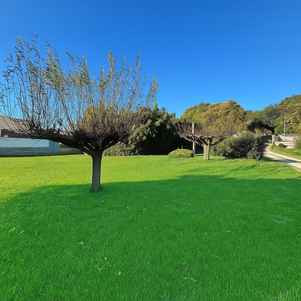 vente Terrain - 750 m² Donzère (26290)