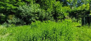  Terrain � vendre 2211 m�