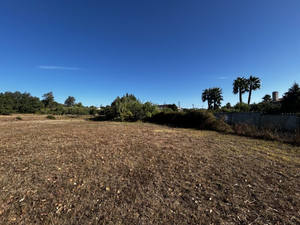 vente Terrain - 1055 m² Puget-sur-Argens (83480)