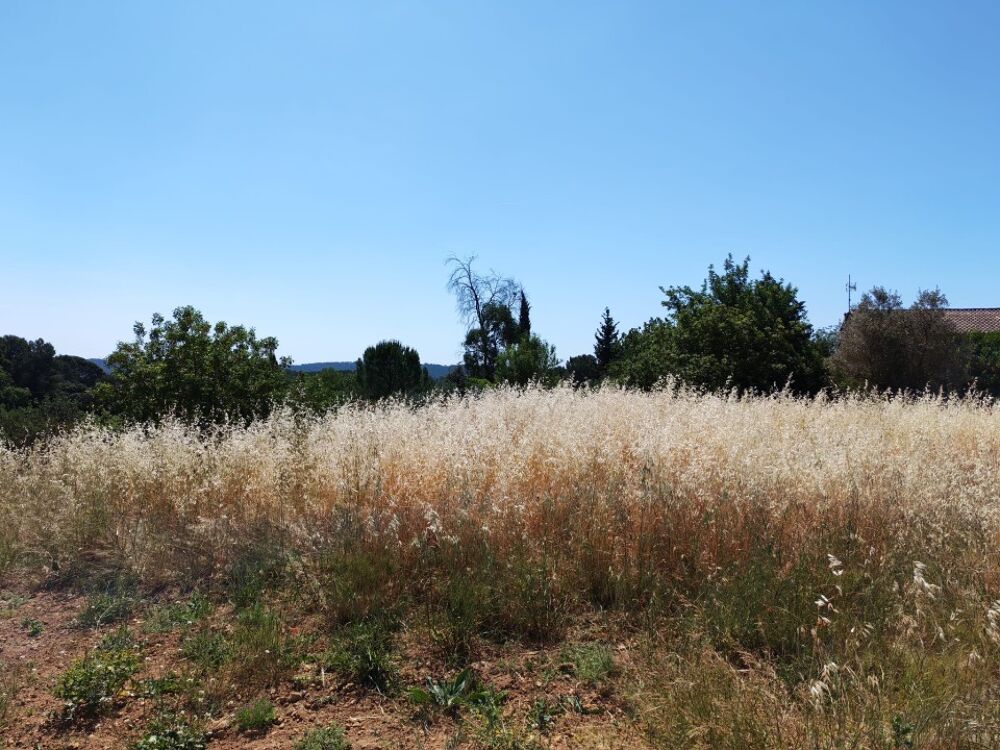 vente Terrain - 628 m² Lorgues (83510)