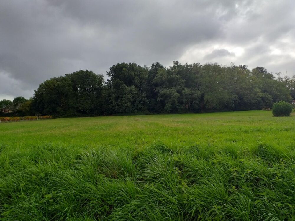 vente Terrain - 550 m² Daignac (33420)