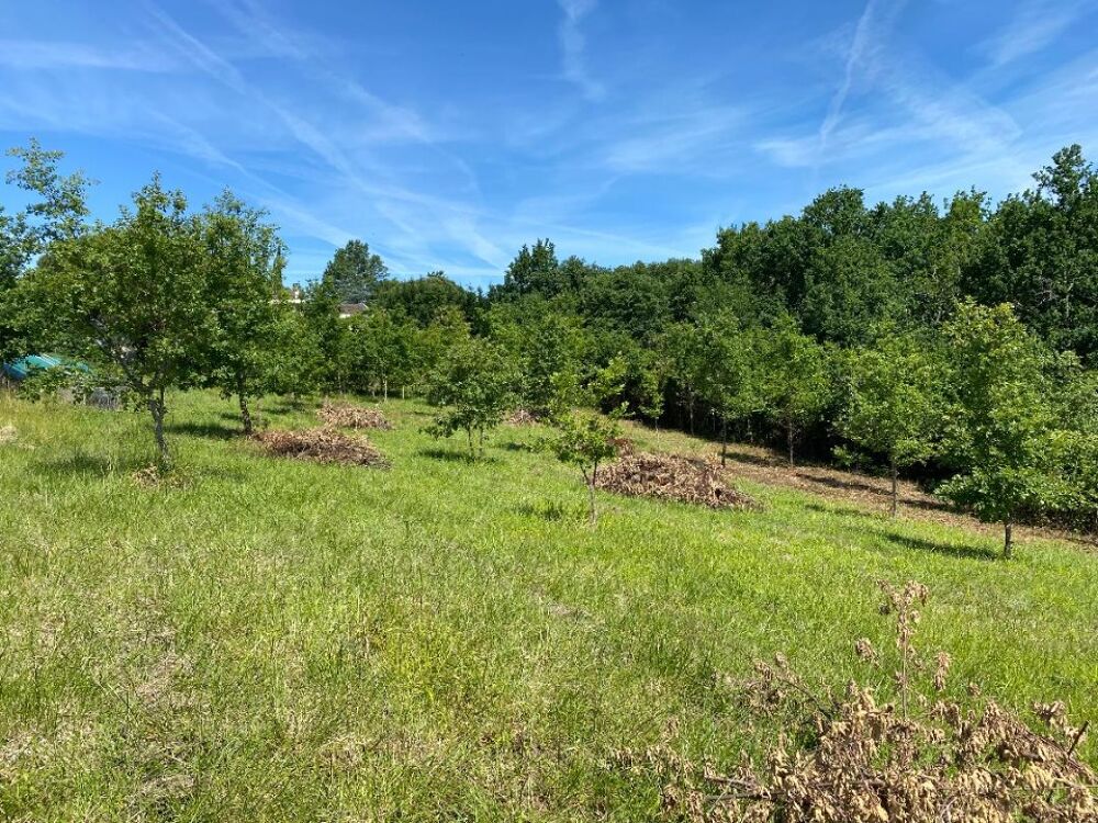 vente Terrain - 1000 m² Monclar-de-Quercy (82230)