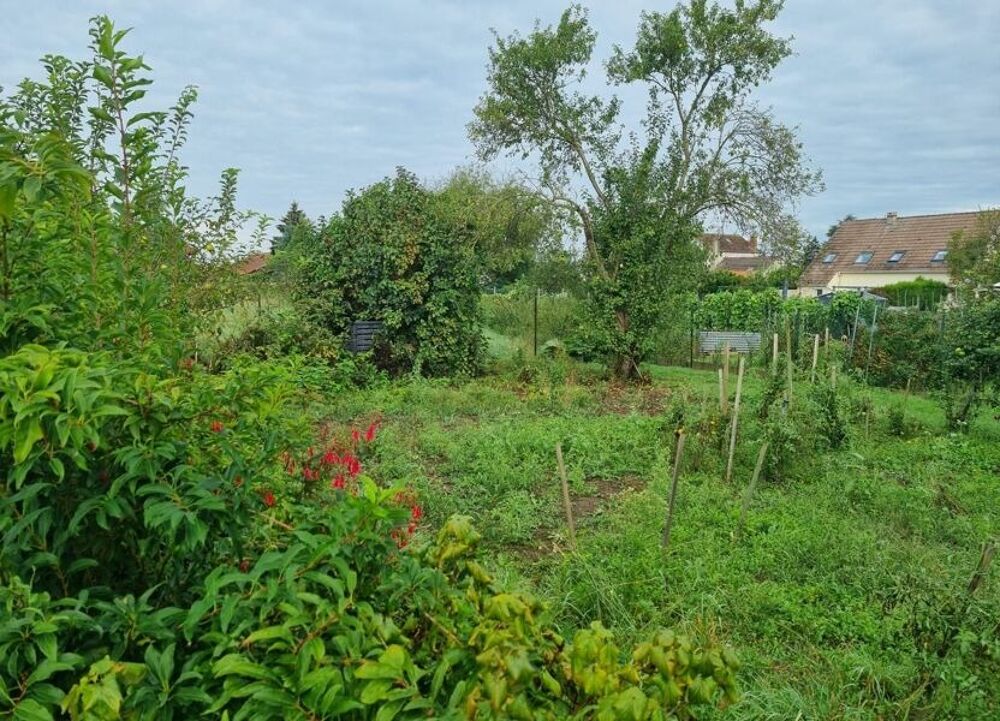 vente Terrain - 919 m² Perthes (77930)