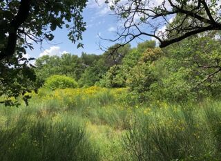  Terrain � vendre 1000 m�