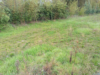  Terrain � vendre 325 m�