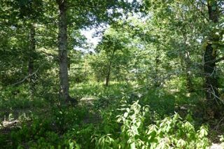  Terrain à vendre 621 m²