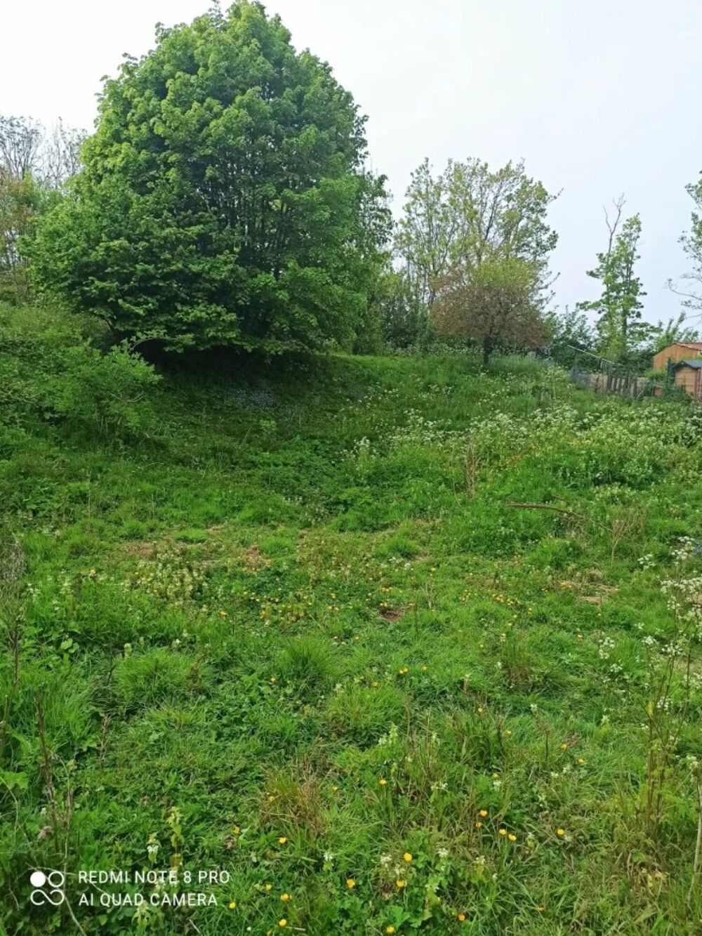 vente Terrain - 1400 m² Samer (62830)