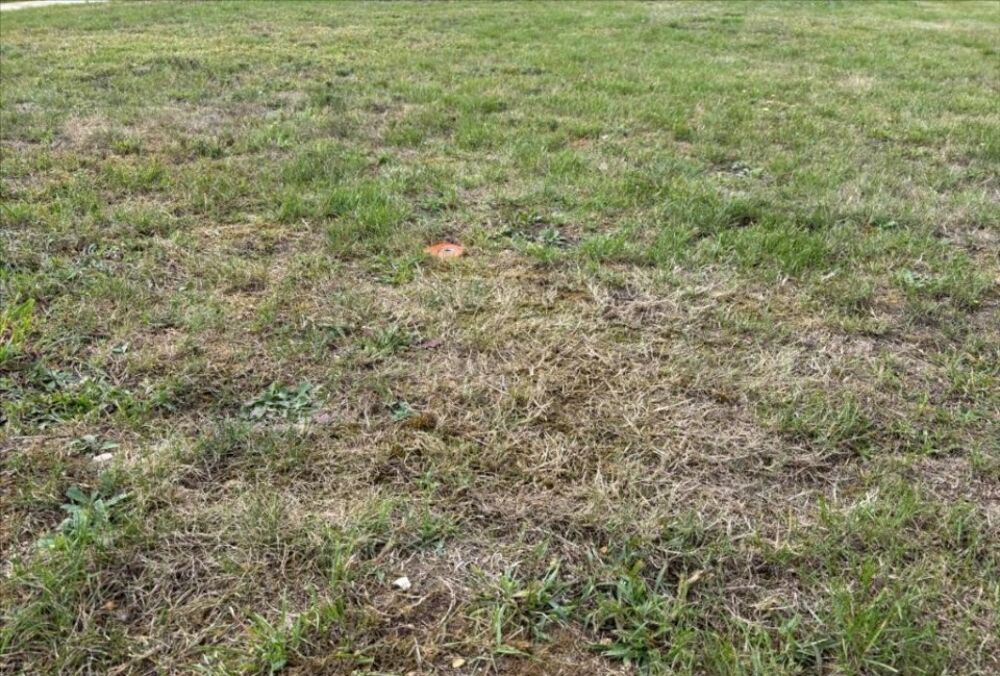 MAISON À CONSTRUIRE À LES DAMPS, 60 M² ET 3 PIÈCES, PROX....