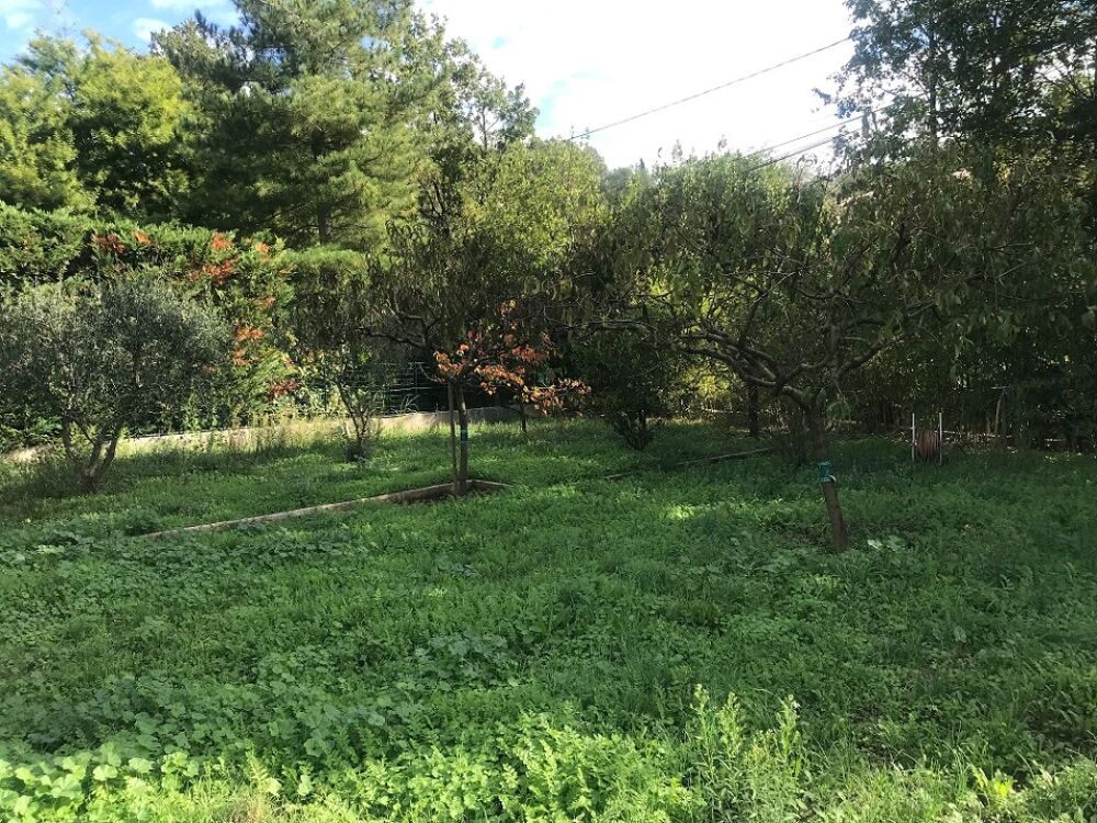 vente Terrain - 378 m² Pignans (83790)
